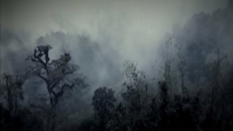 Scene 2