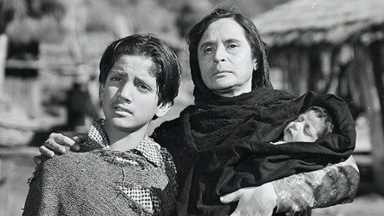Scene 5