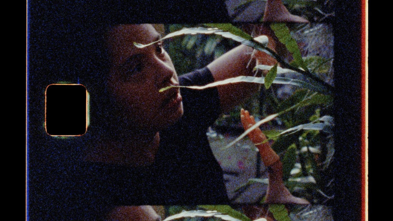 Scene 5