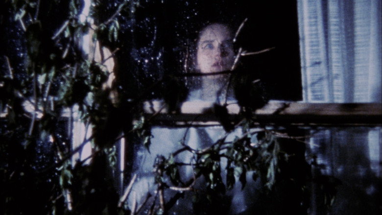 Scene 5