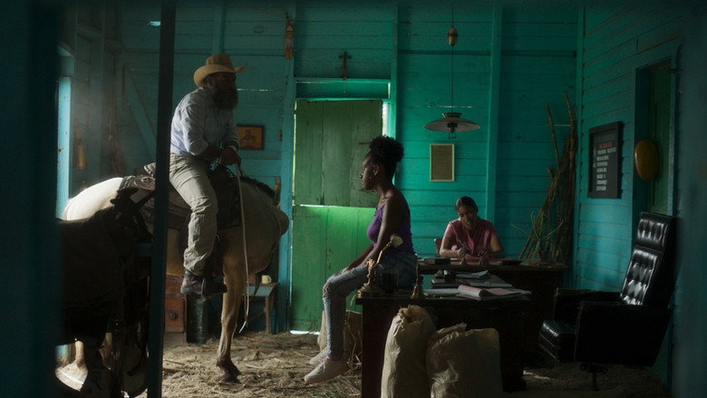 Scene 5