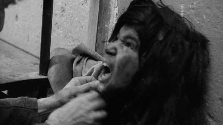 Scene 3