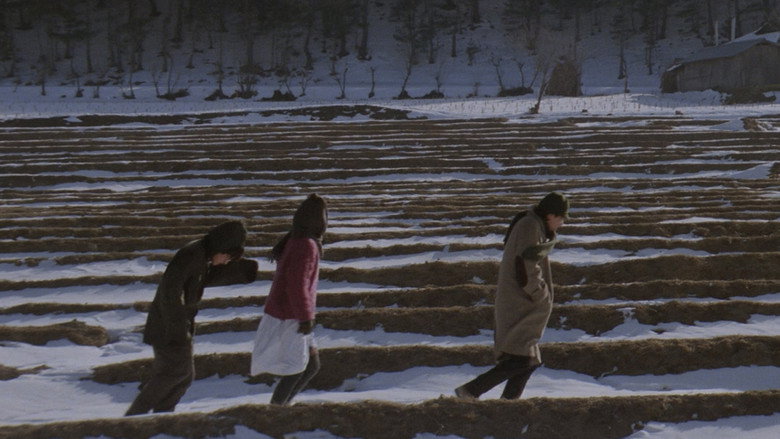 Scene 3