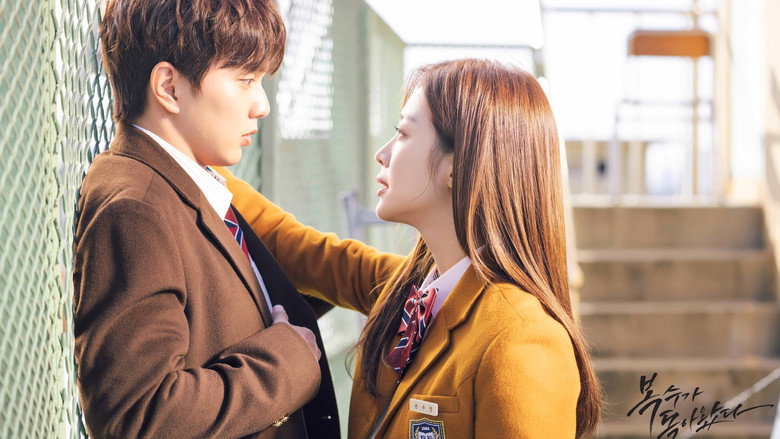 Scene 4