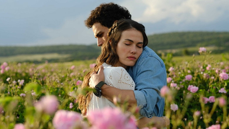 Scene 3
