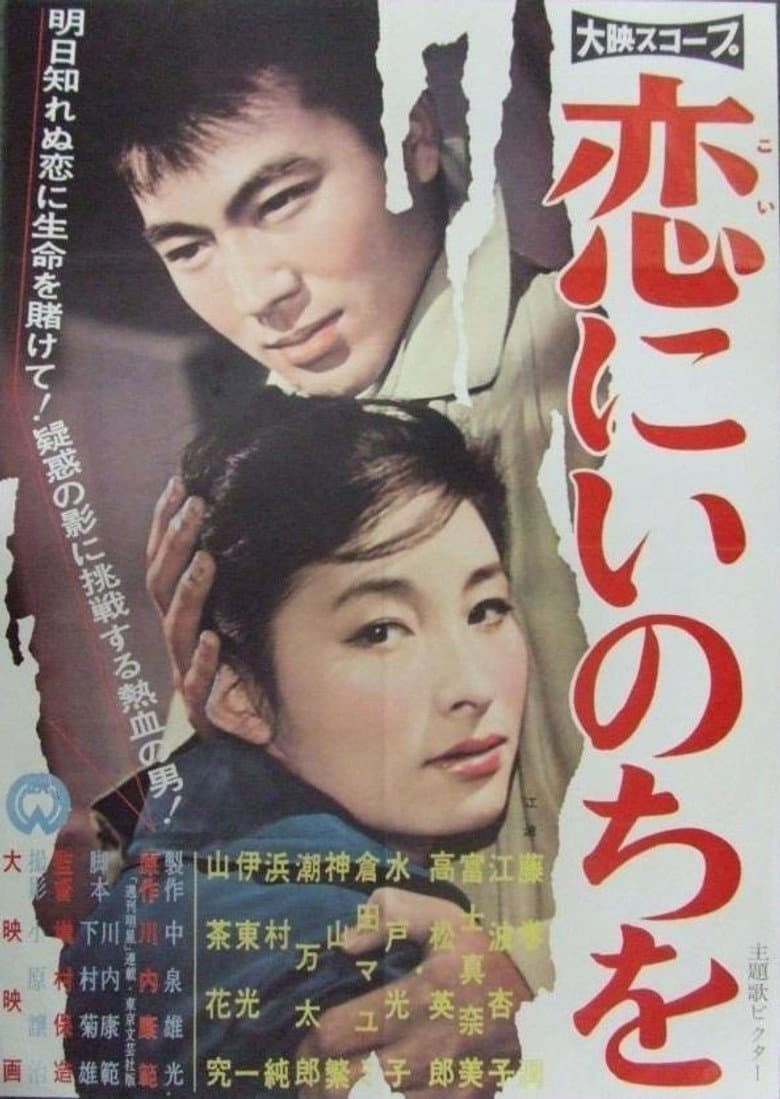 Poster 3
