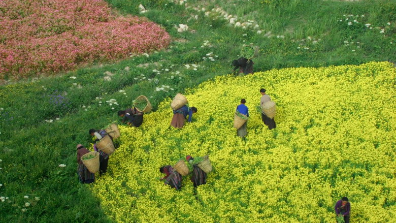 Scene 4