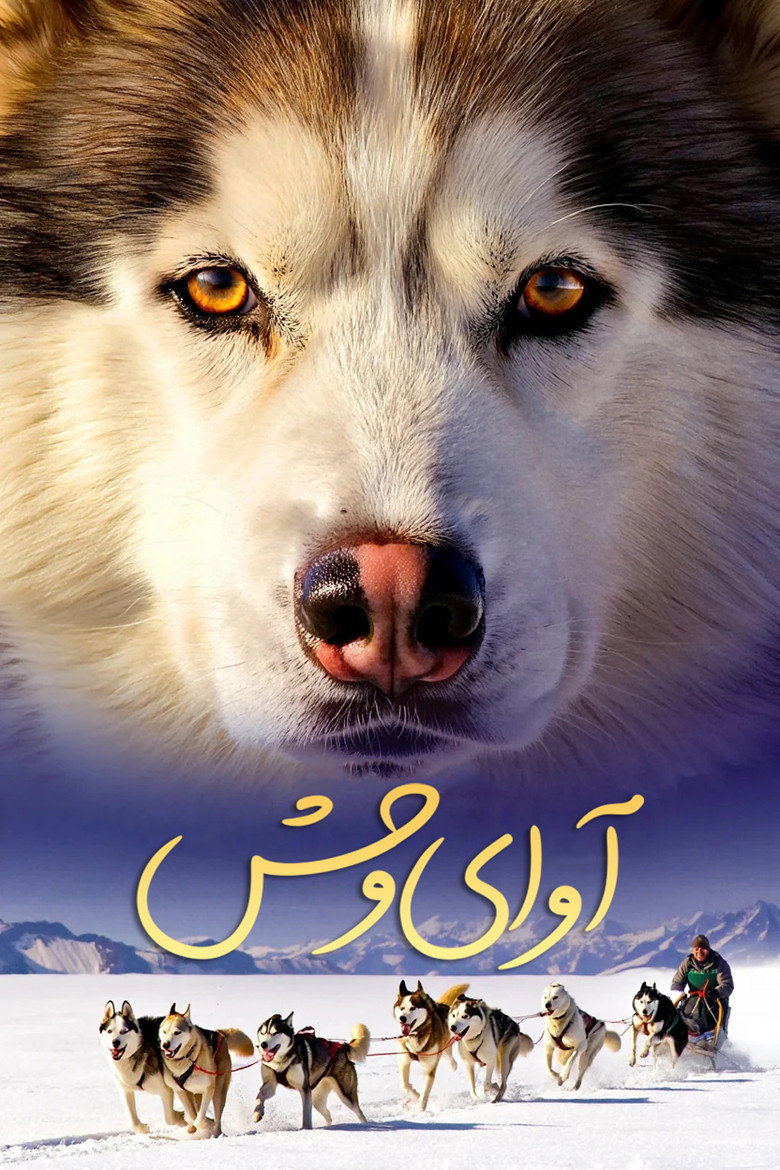 Poster 3