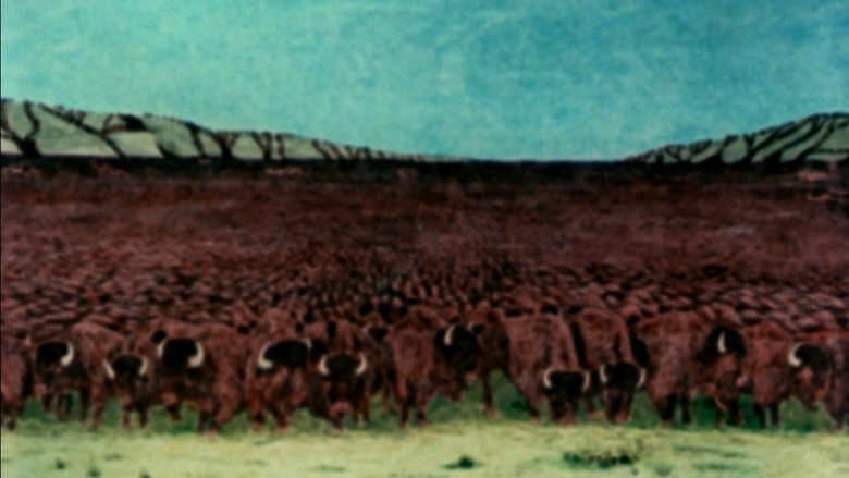 Scene 3