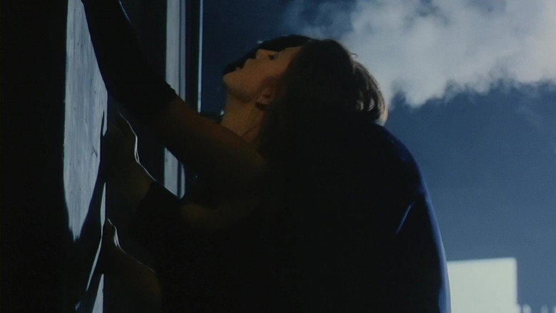 Scene 5