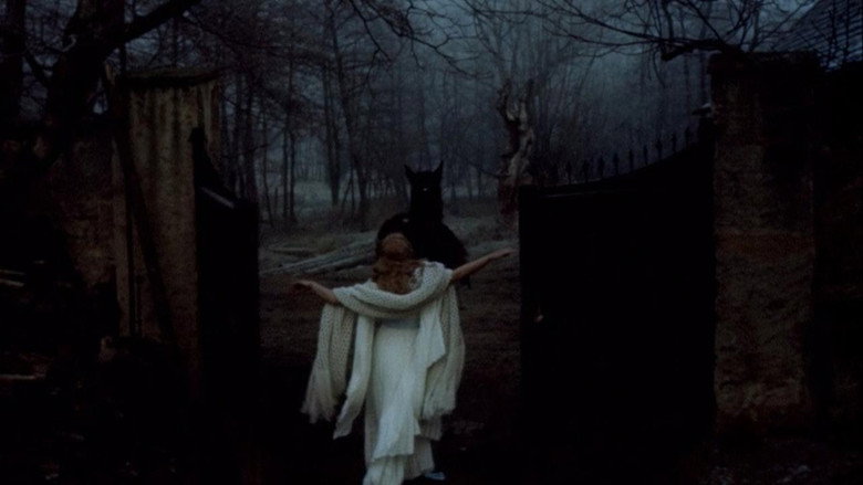 Scene 3