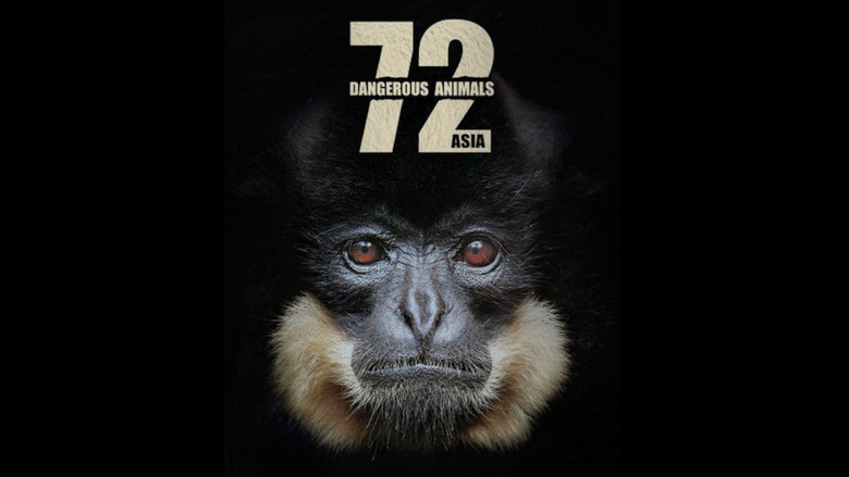 72 Dangerous Animals: Asia backdrop