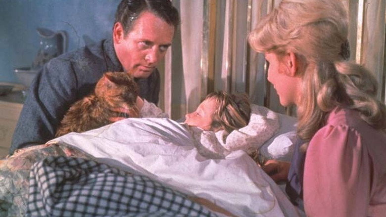 Scene 5