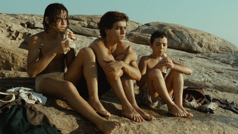 Scene 5