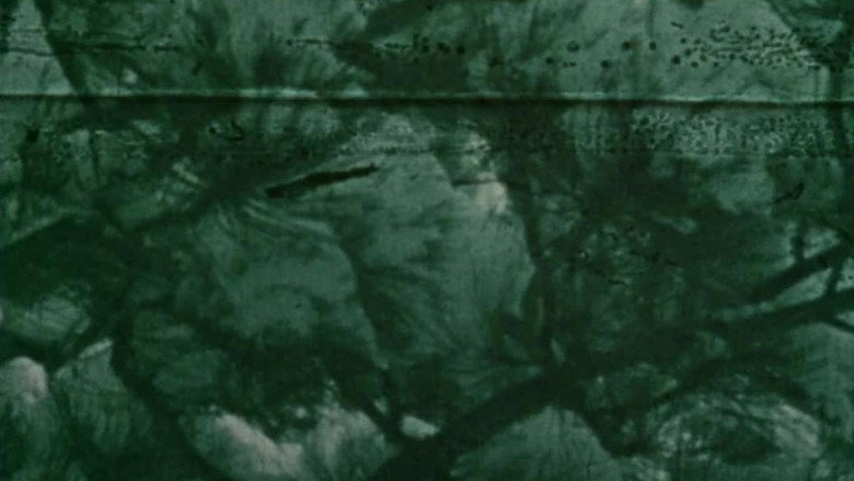 Scene 2