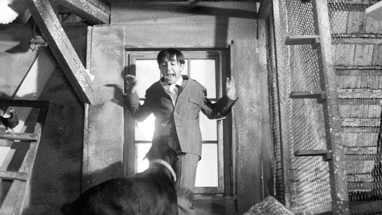Scene 3