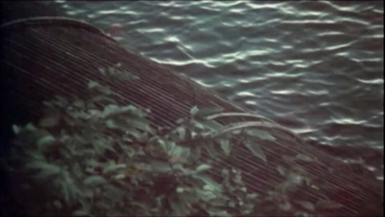 Scene 3