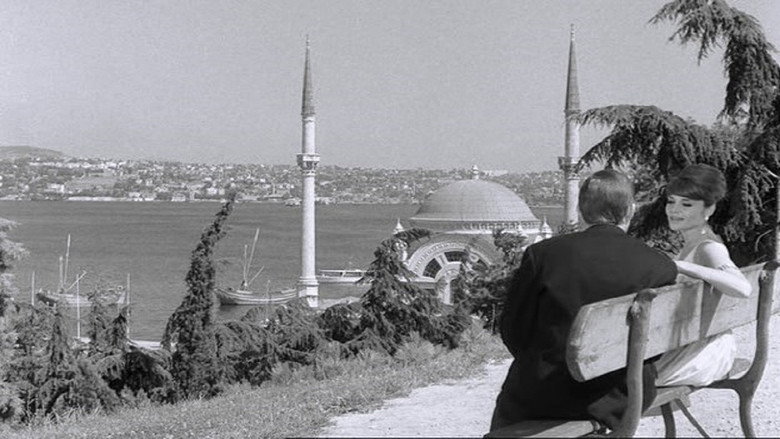 Scene 5