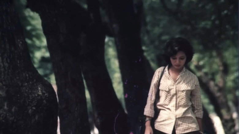 The Girl on the River backdrop