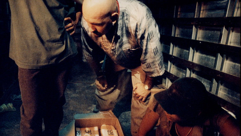Scene 5
