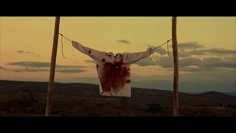 Scene 5