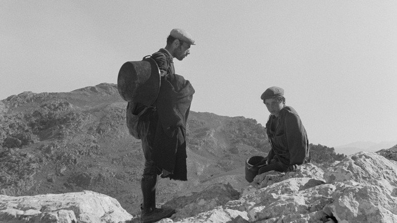 Scene 5
