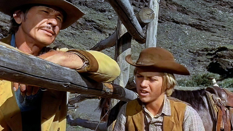 Scene 3