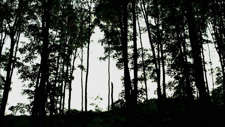 Scene 5