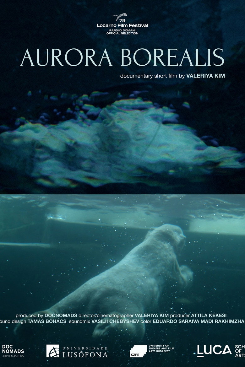 Poster 1