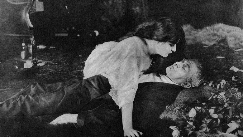 Scene 3