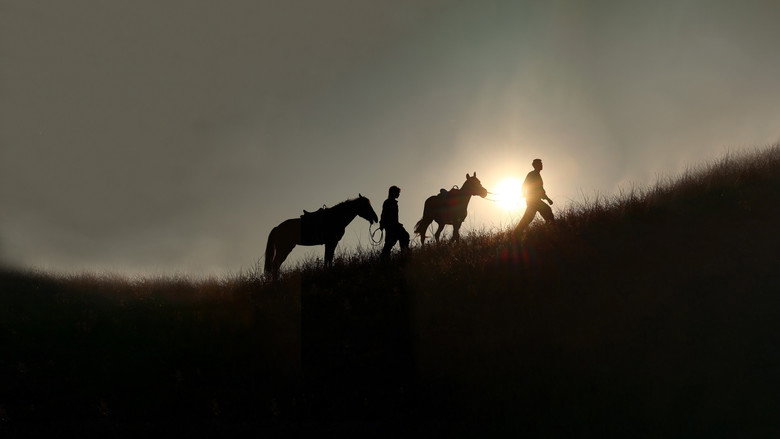 A Winter Sun Wakes the Wind in Spring Hills' Dream backdrop