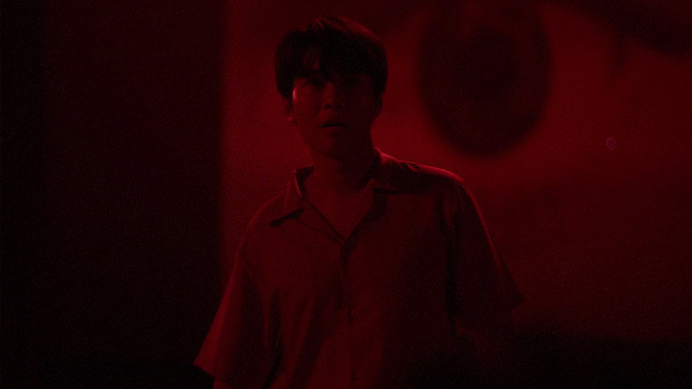 What Do You Seek in the Dark? backdrop