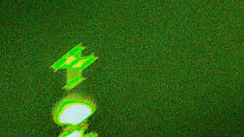 Scene 3