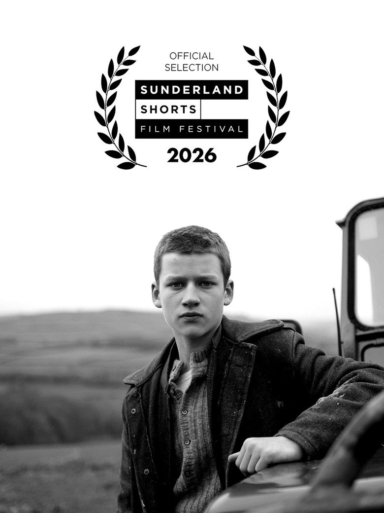 Poster 3