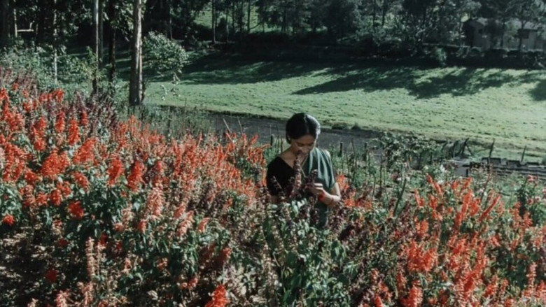 Scene 3