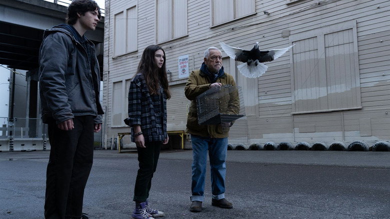 Scene 5