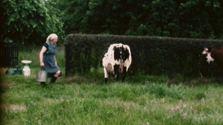 Scene 2