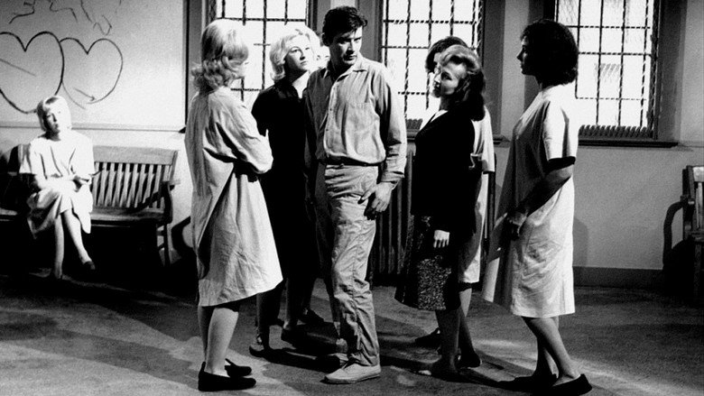 Scene 3