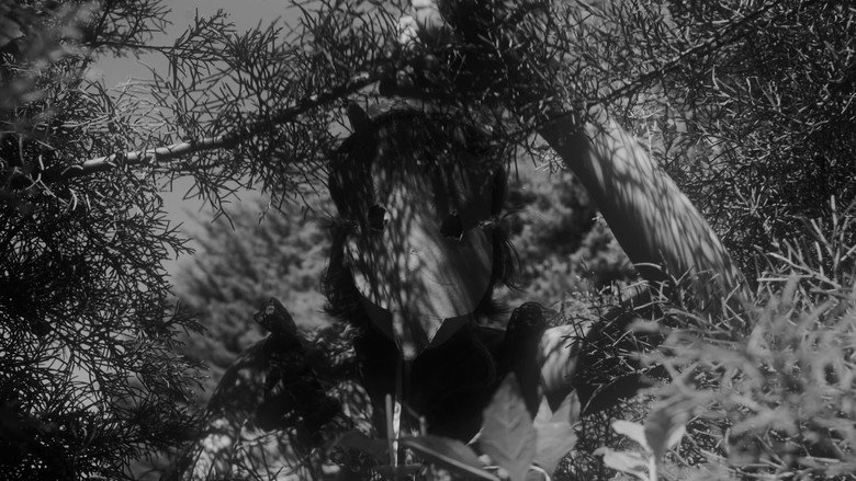 Scene 4