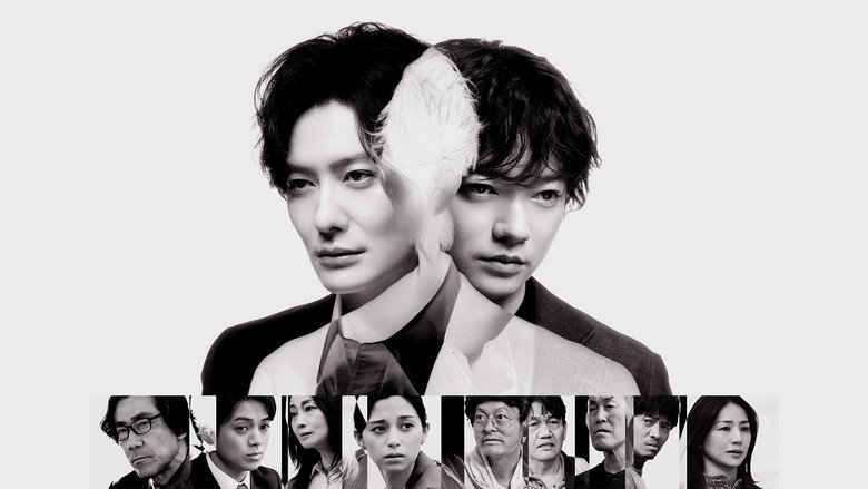 TAGUSARI bros. backdrop