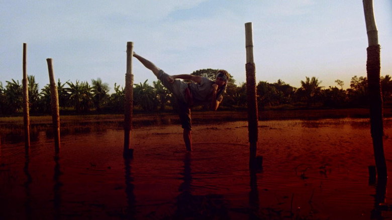 Scene 5