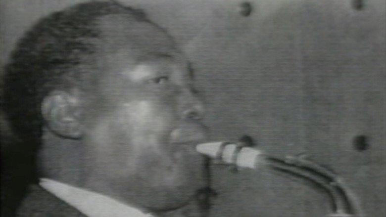 Tambo Jazz backdrop