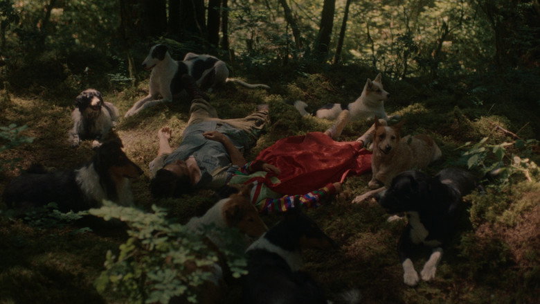 Scene 5