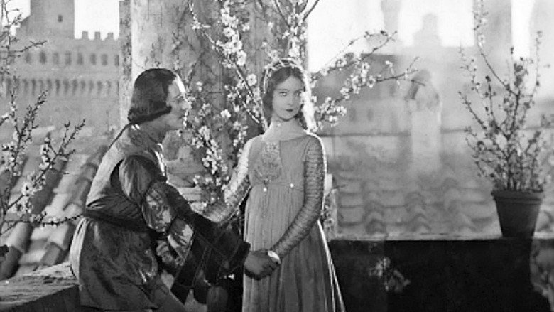 Scene 5