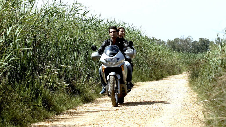 Scene 5