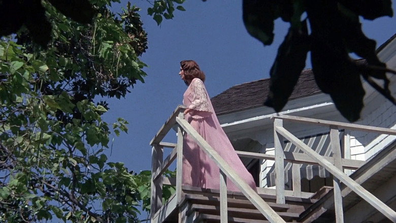 Scene 3