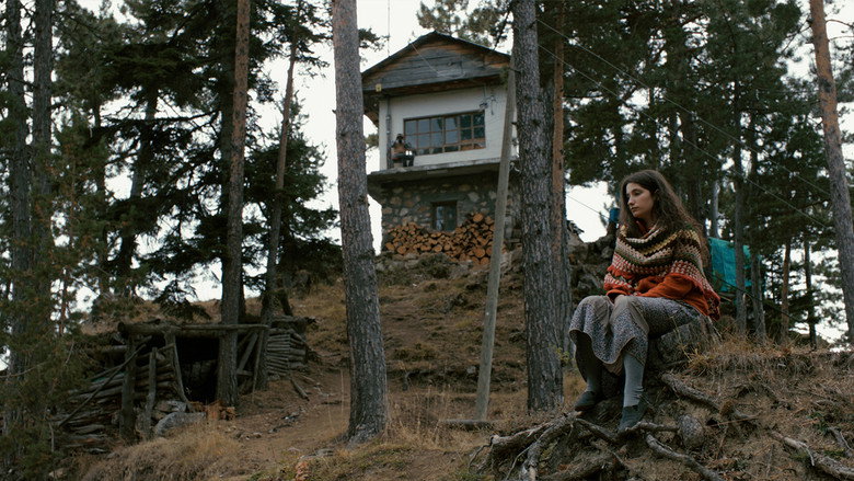 Scene 5