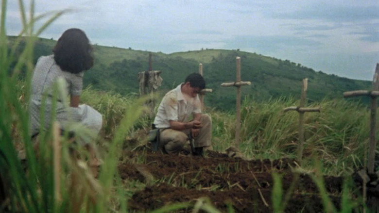 Scene 5
