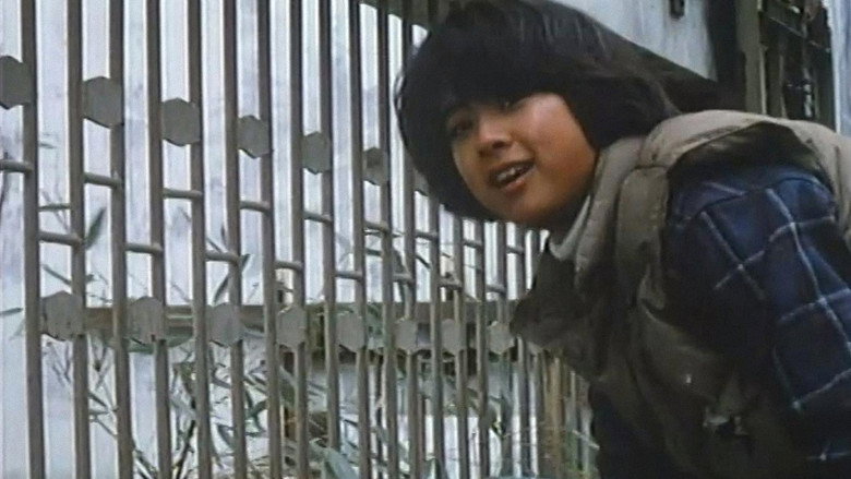 The Panda Story backdrop