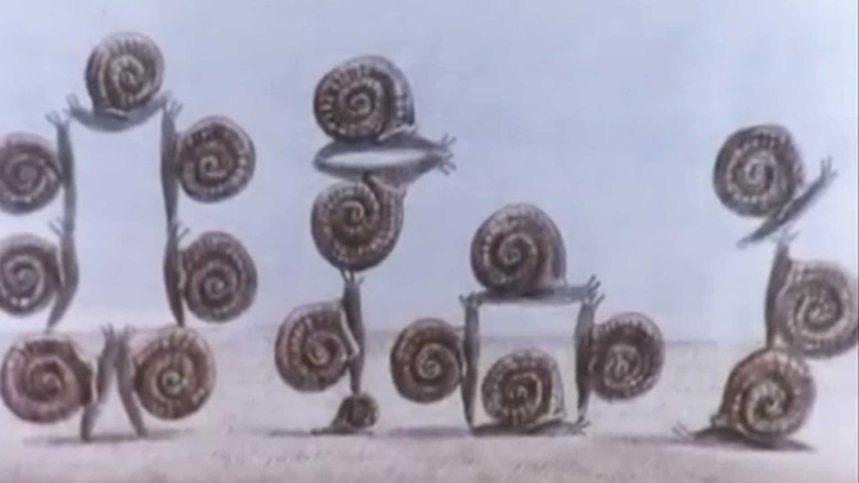 Scene 5